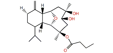 Litophynin E